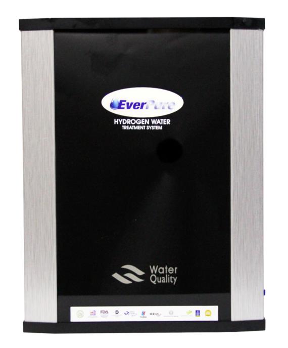 EverPure Hydrogen Water Filter System