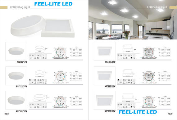 LED CEILING LIGHT 2017