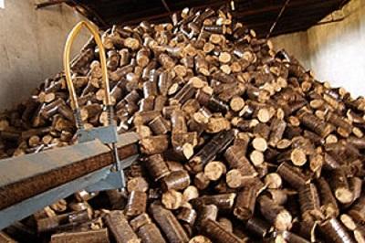 Palm Briquette