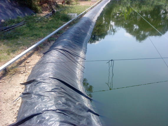 Pond Liner