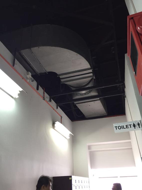 Gas piping and exhaust ducting