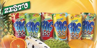 zesto_big_picbig
