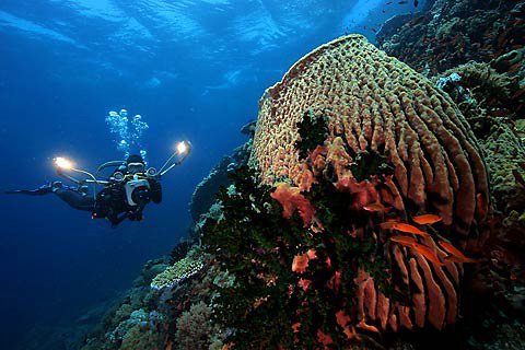 Atlantis Dive Resort