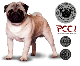 PCCI