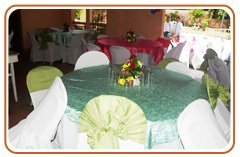 services