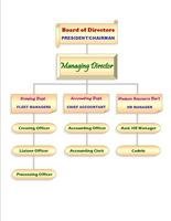 Organizational Chart