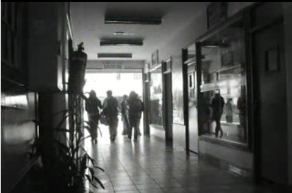 Faculty