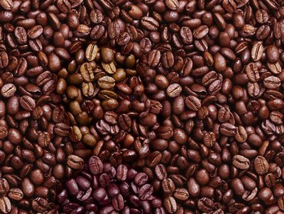 Beans