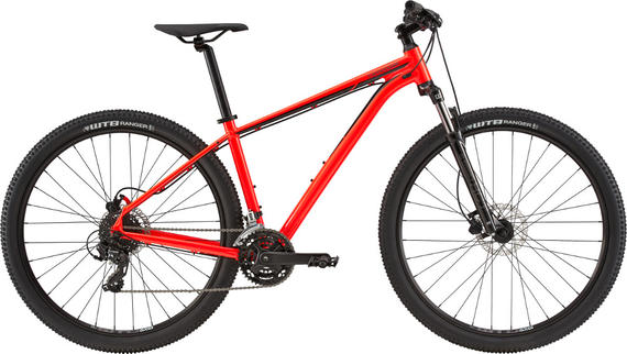 Trail 7 2020