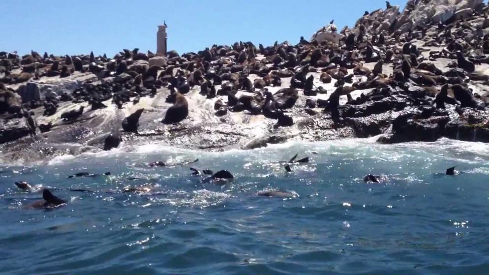 (8XCJ) 8D6N SOUTH AFRICA