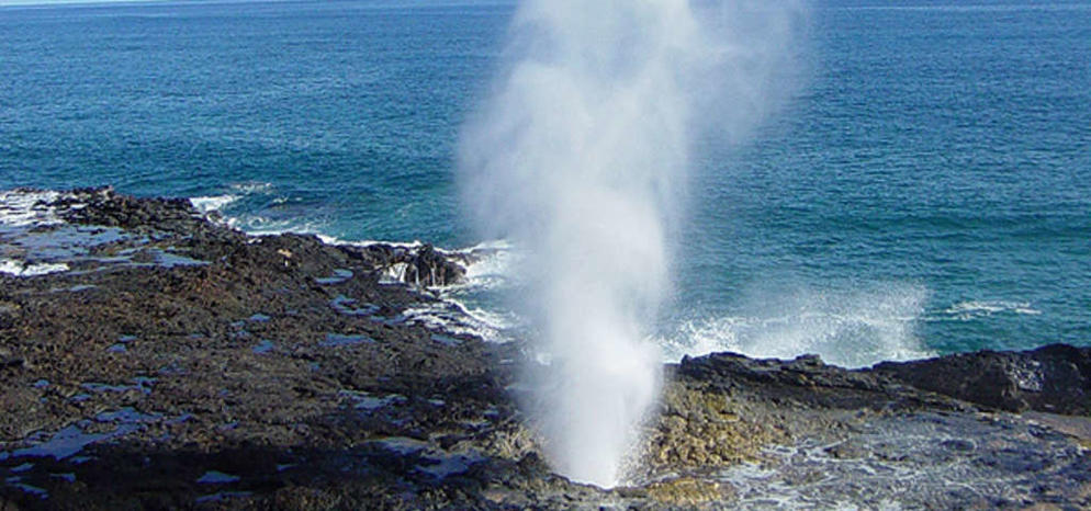 (10UWH) 10D7N USA WEST COAST AND HAWAII