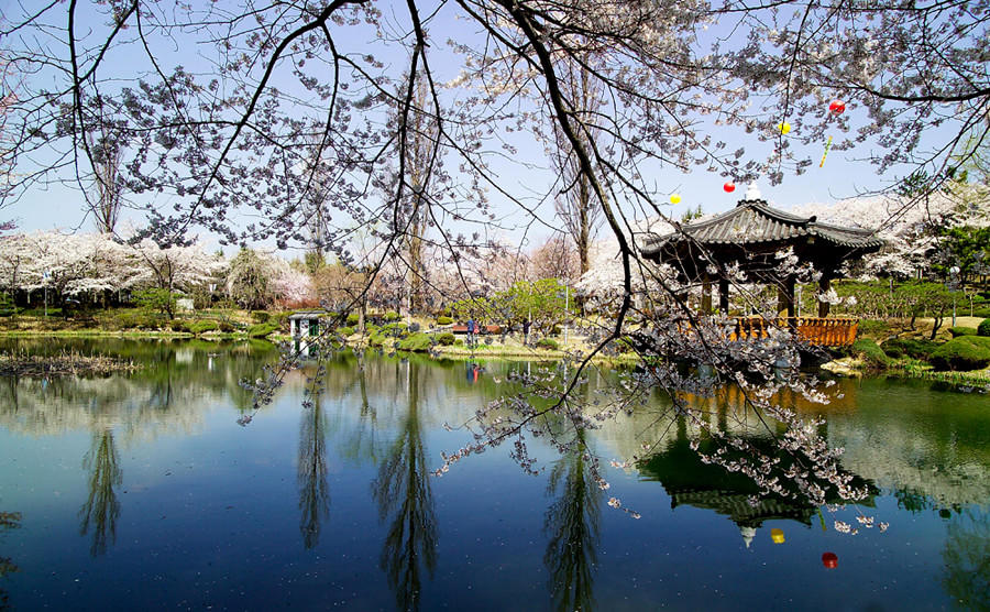 (KAB) 6D4N BUSAN, GYEONGJU, DAEGU