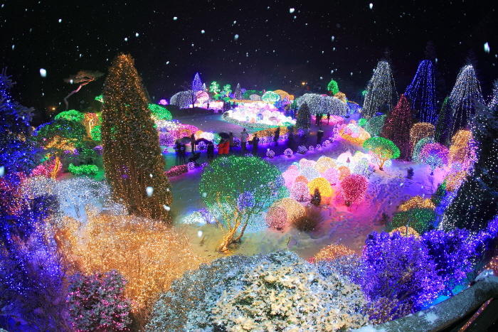 (DZZ) 8D6N SEOUL, GYEONGGI-DO, MOUNT SORAK, JEJU ISLAND, SKI FUN TOUR