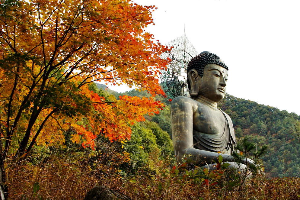 (DZZ) 8D6N SEOUL, GYEONGGI-DO, MOUNT SORAK, JEJU ISLAND, SKI FUN TOUR