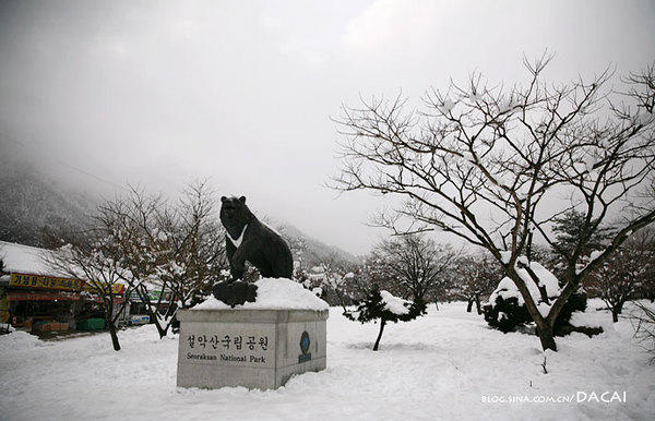 (DZY) 6D4N SEOUL, GYEONGGI-DO, MOUNT SORAK AND SKI FUN