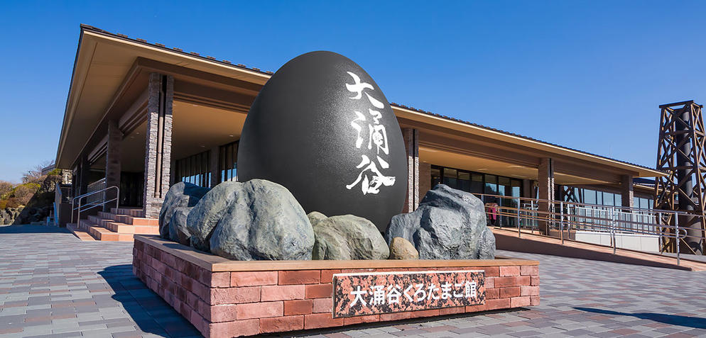 (JDB-2) 7D4N OSAKA/KOBE/KYOTO/TOYOHASHI/YOKOHAMA/MT FUJI/TOKYO