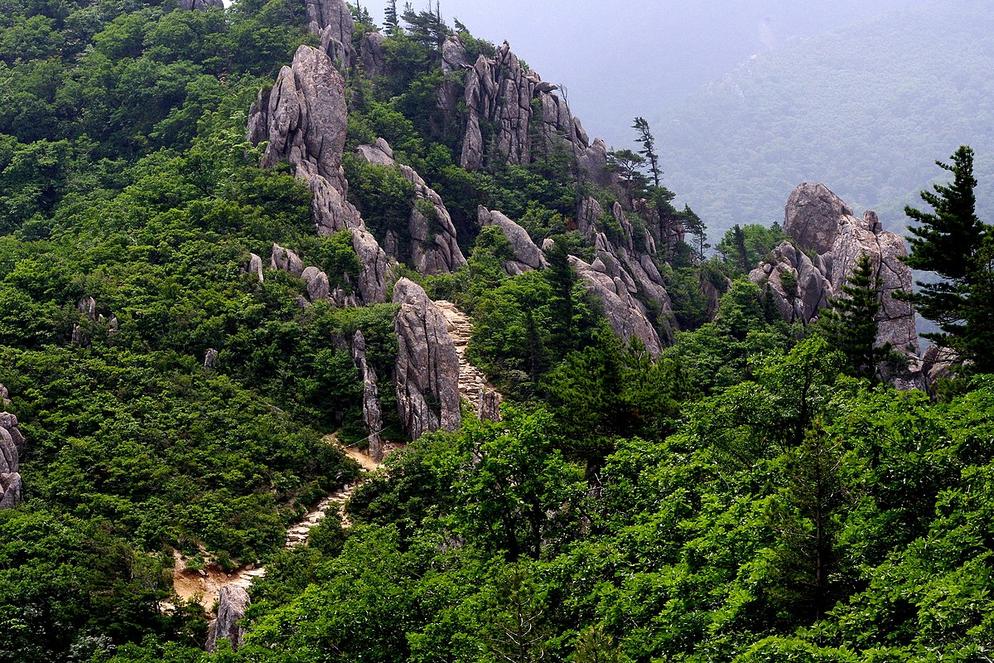 [DZR]8D6N SEOUL/ MOUNT SORAK/ NAMI ISLAND + JEJU ISLAND ~ HELLO KITTY ISLAND