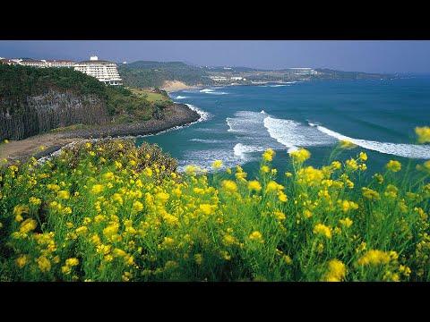 (DZZ) 8D6N SEOUL / MOUNT SORAK/ GYEONGGI-DO + JEJU ISLAND + SKI FUN