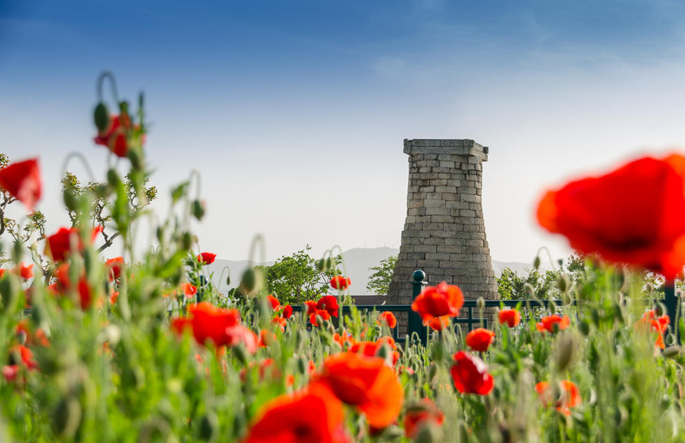 [KAQ-2] 6D4N BUSAN/GYEONGJU + TONGYEONG SKYLINE LUGE