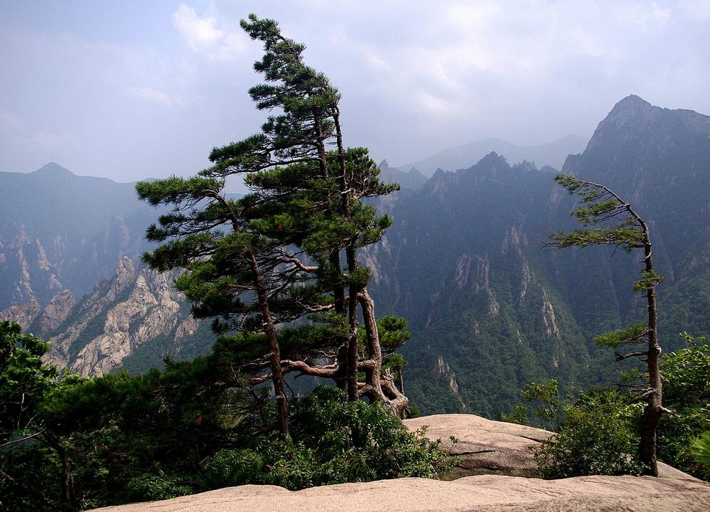 [ KAJ-2 ]  6D4N SEOUL / NAMI ISLAND / MOUNT SORAK + 01DAY FREE & EASY