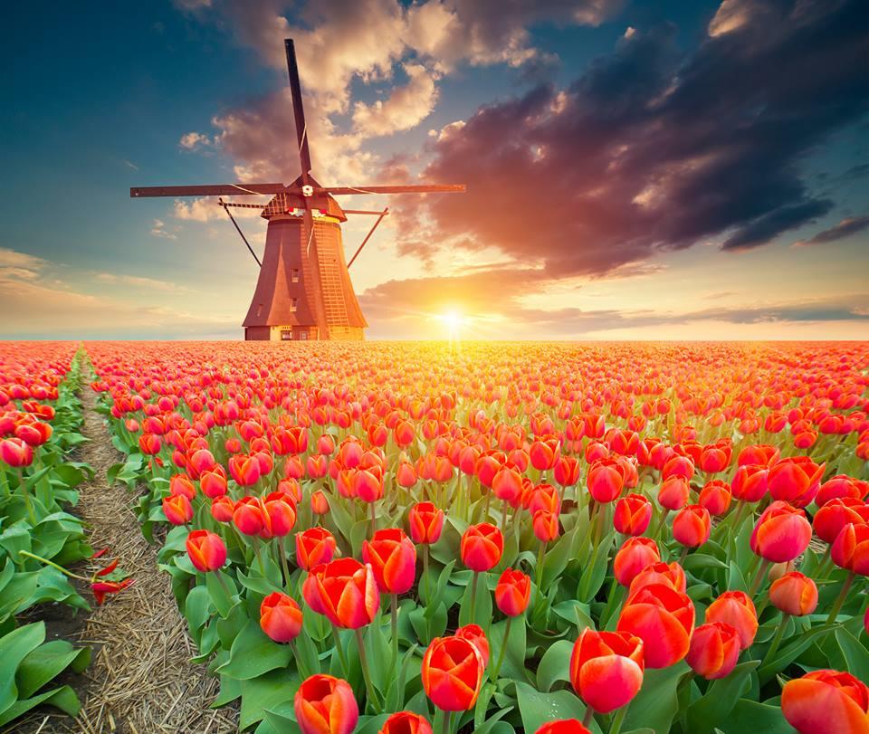 [10D7N] Impressive Journey to Western Europe