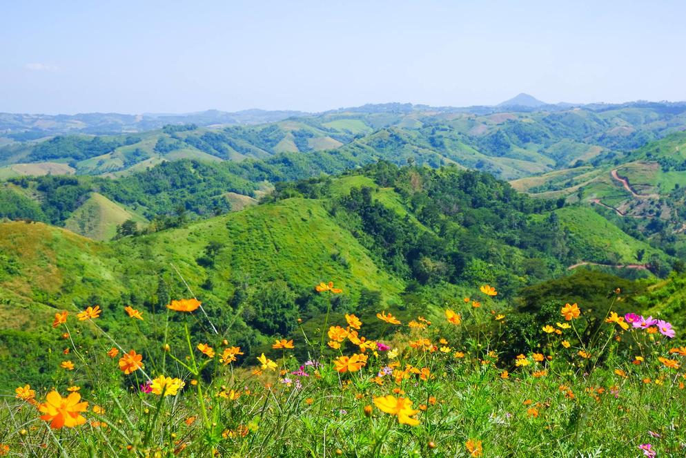 [5D4N] Thailand Sea of Cloud