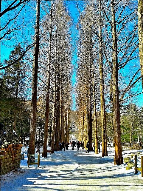 [DZP-3]6D4N SEOUL / NAMI ISLAND / MOUNT SORAK *WEARING HANBOK VISIT GYEONGBOK PALACE