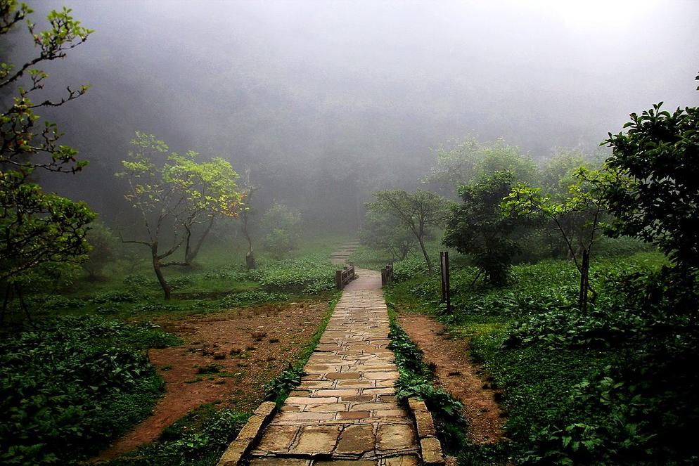 [WLG-2] 6D5N TAIPEI/TAICHUNG//NANTOU/ALISHAN NATIONAL FOREST RECREATION AREA+ SOUTHERN GARDEN HOT SPRING RESORT