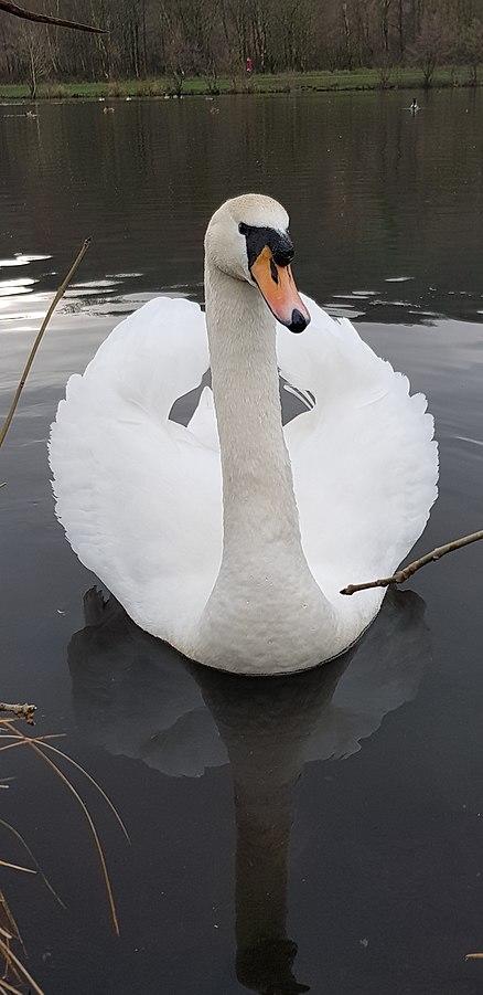 [UPI] 6D4N PERTH + FREMANTLE + SWAN VALLEY + PINNACLES