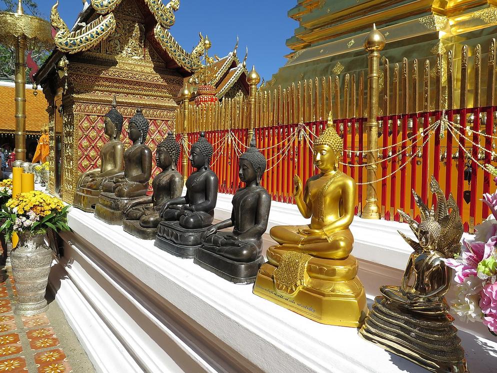 [TCL] 5D4N CHIANGMAI / CHIANGRAI (ELEPHANT SAFARI)