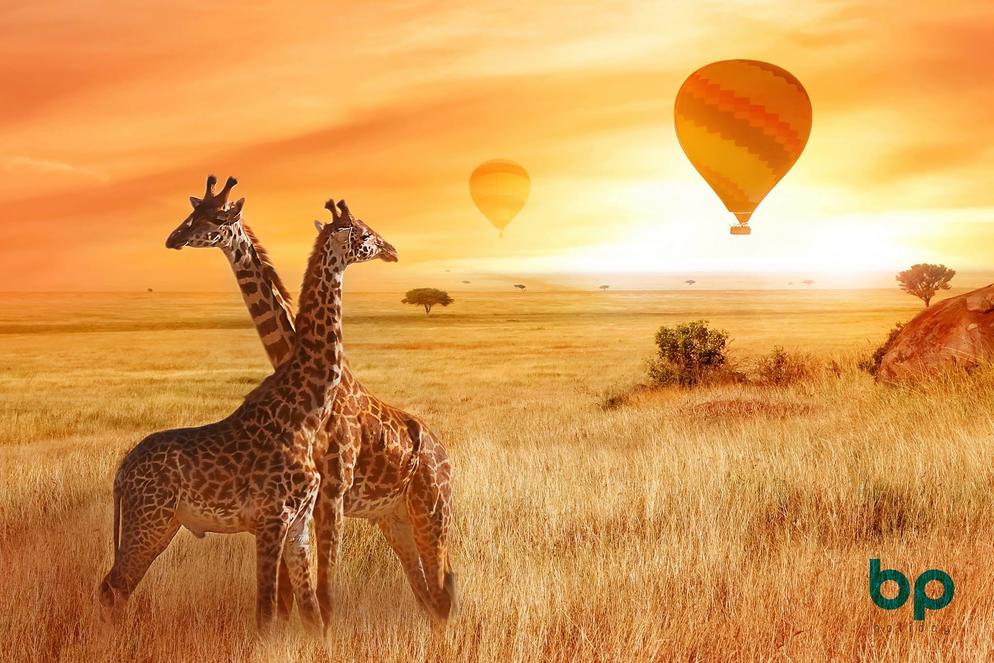 [10D7N] KENYA KINGDOM SAFARI