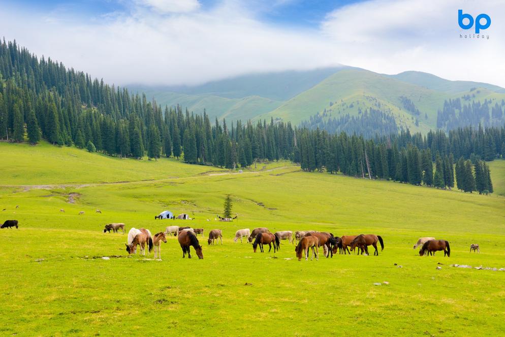 [12D9N] XinJiang Unique *【NO SHOPPING TOUR】