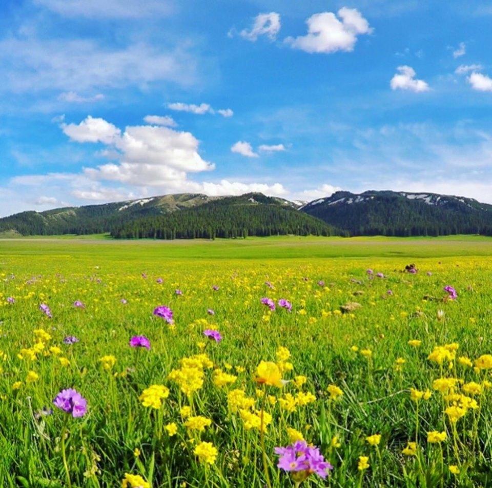 [12D9N] XinJiang Unique *【NO SHOPPING TOUR】