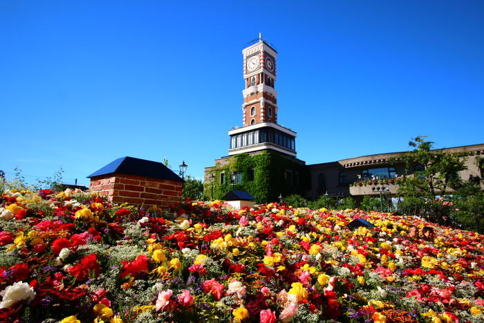 [JPE-8] 7D5N HOKKAIDO (NOBORIBETSU / LAKE TOYA / OTARU / SAPPORO) + HAKODATE