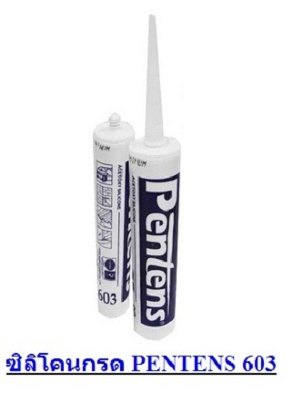 PENTENS 603 Acid Silicone