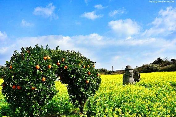 (DZR) 8D6N SEOUL, JEJU ISLAND, HELLO KITTY ISLAND, MOUNT SORAK, NAMI ISLAND (DZR)