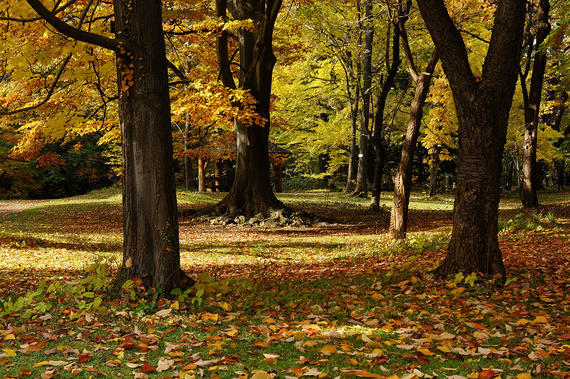 [ JPD-2 ]  6D4N HOKKAIDO (SAPPORO / NOBORIBETSU / LAKE TOYA / OTARU)