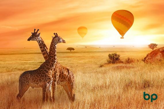 [10D7N] KENYA KINGDOM SAFARI