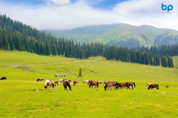 [12D9N] XinJiang Unique *【NO SHOPPING TOUR】