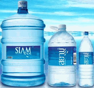 siam