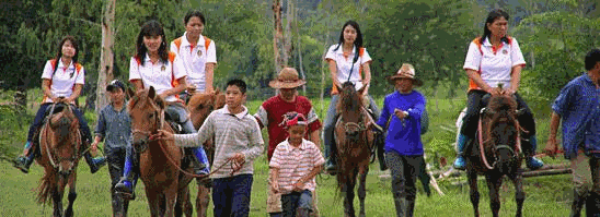 riding-hourse
