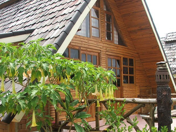 view3
