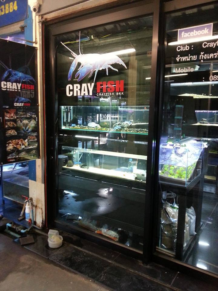 Cray Fish B59 จำหน่ายอุปกรณ์เลี้ยงกุ้งเครย์ฟิช