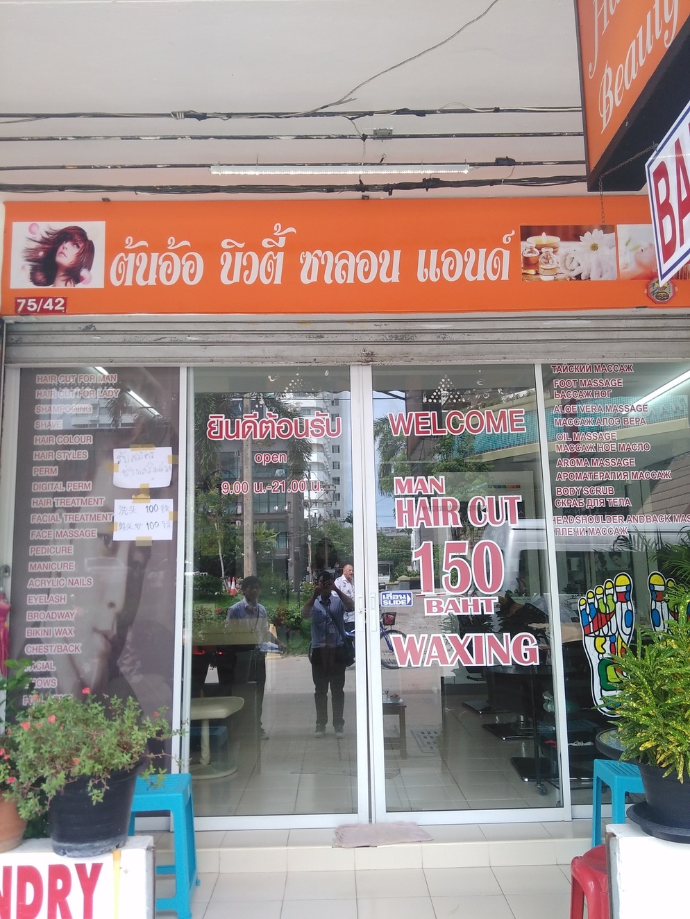ต้นอ้อ