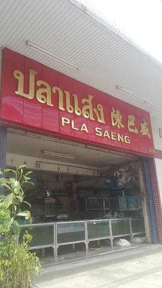 ร้าน ปลาแสง