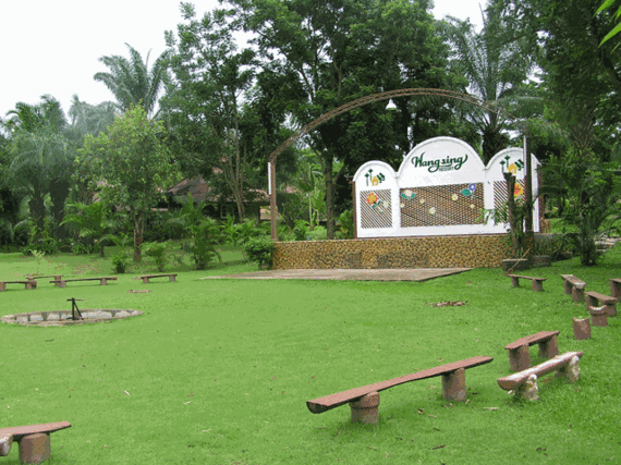 garden