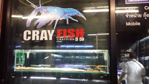 ร้าน CRAY FISH B59