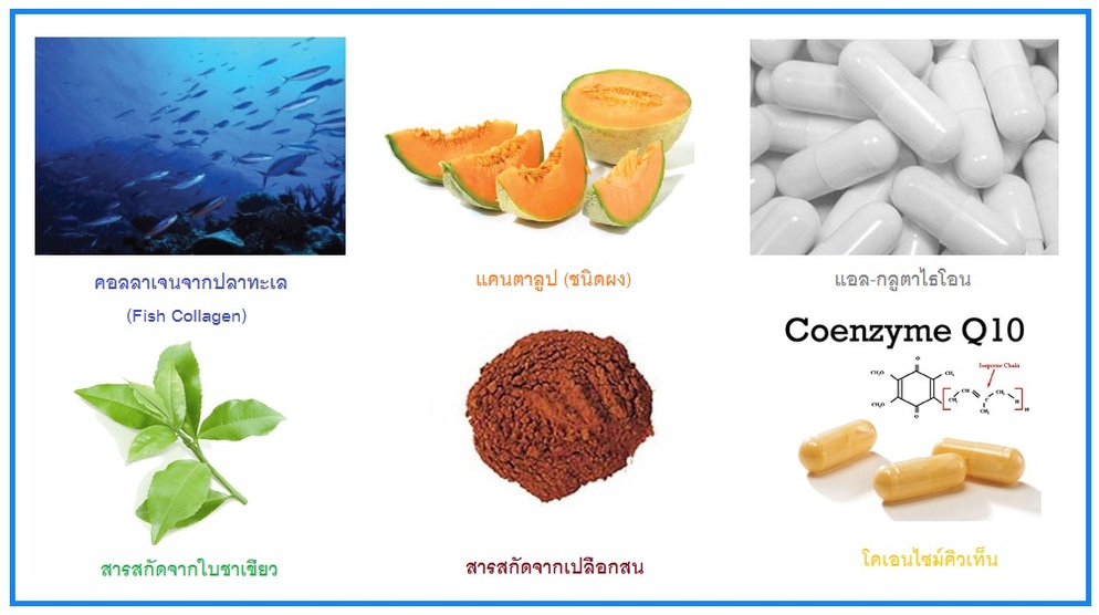 คอลเบอร์รี่ คอลลาเจน (COLBERRY COLLAGEN)