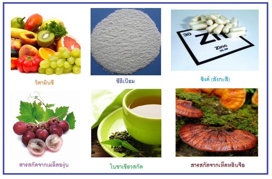 Betamin (เบตามิน ผลิตภัณฑ์เสริมอาหาร)