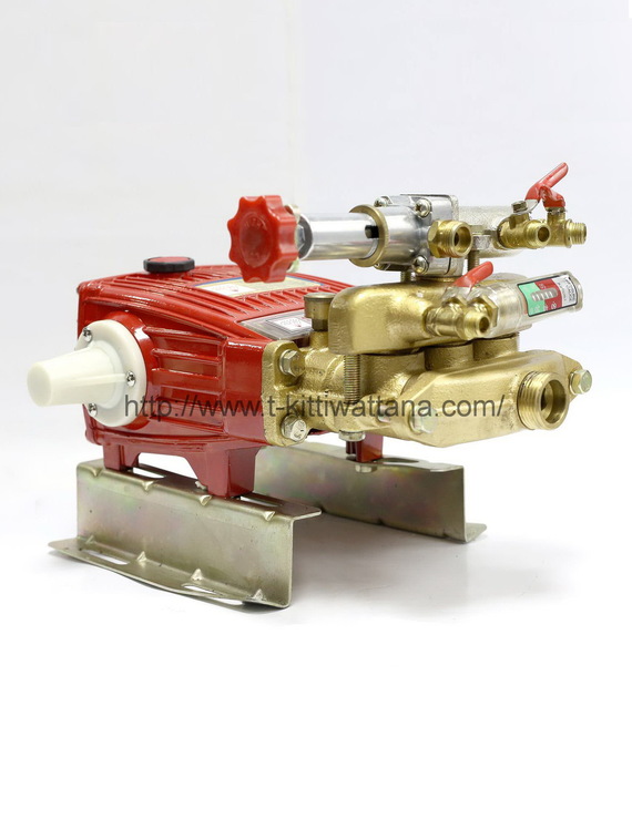 ปั๊มตราเพชร รุ่น TS-51E ขนาด1นิ้ว